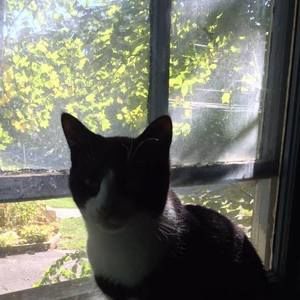 Meet your Posher, Cindy